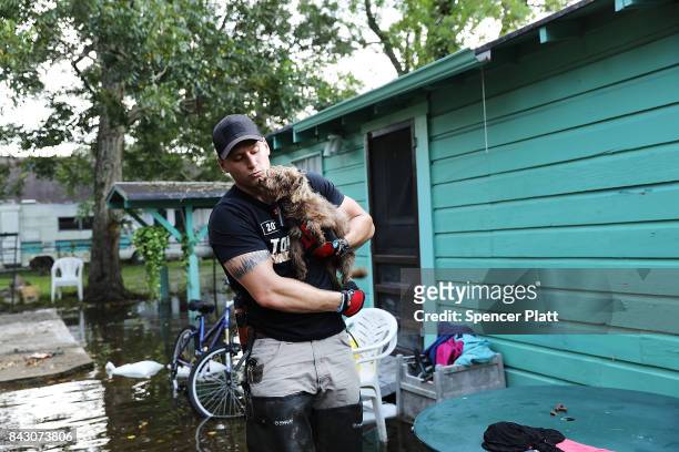 Matt Murray, a volunteer with an animal rescue organization, carries a small dog he found abandoned beside a flooded home on September 5, 2017 in...