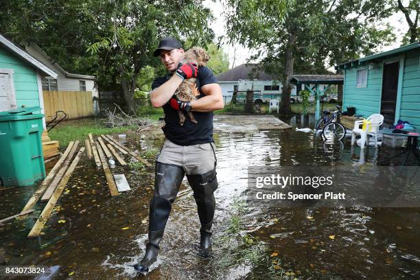 Matt Murray, a volunteer with an animal rescue organization, carries a small dog he found abandoned beside a flooded home on September 5, 2017 in...