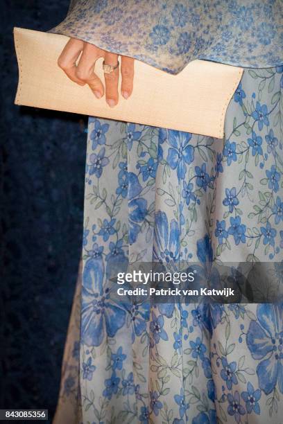 Handbag of Queen Maxima of The Netherlands during the benefit gala dinner for the Princess Maxima Center for childrenÕs oncology in the...