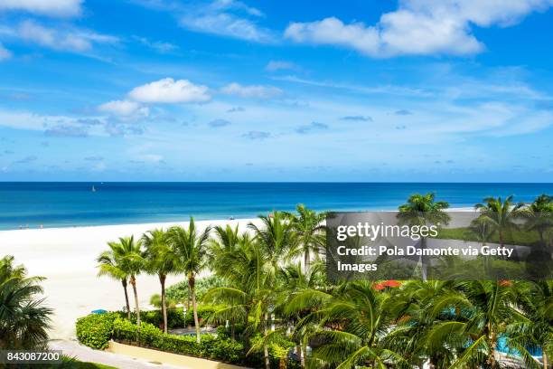 gulf of mexico beach. marco island beach in florida - marco island 個照片及圖片檔