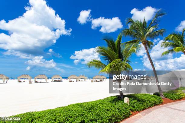 gulf of mexico beach. marco island beach in florida - naples florida stock-fotos und bilder