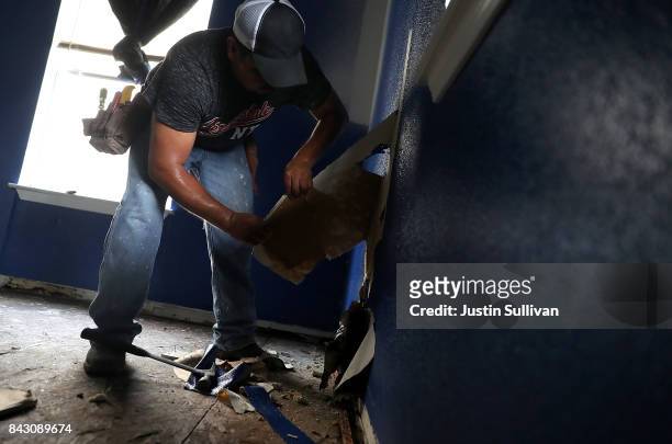 Contractor removes moldy drywall from a flood damaged home on September 5, 2017 in Houston, Texas. Over a week after Hurricane Harvey hit Southern...