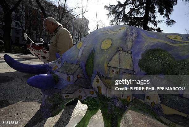 Man walks past a painted cow, created by Spanish artists and exhibited in Madrid, on January 16, 2009 for the first day of the Cow Parade. AFP PHOTO/...