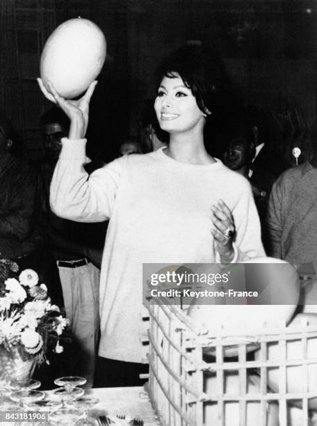 Sophia Loren recevant des melons en cadeau pour célèbrer son 29ème anniversaire, sur le film 'Hier, aujourd'hui et demain', à Rome, Italie, le 20...