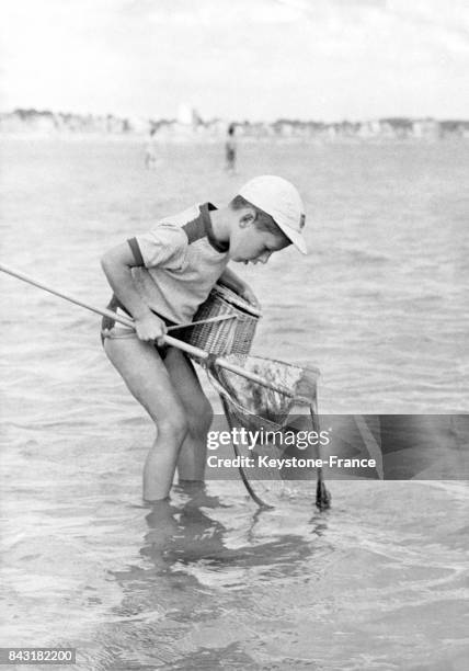 Petit garçon, une épuisette à la main, pêche dans la mer, en août 1959.