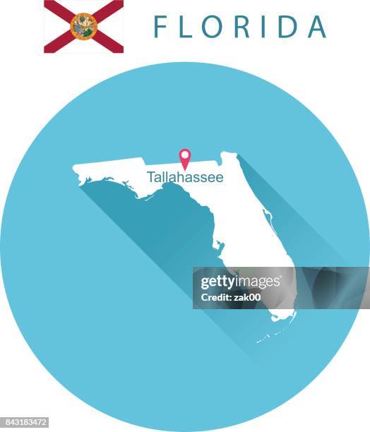 ilustrações de stock, clip art, desenhos animados e ícones de usa state of florida's map and flag - cena de estado