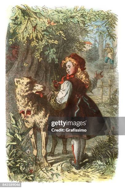 little red riding hood mit wolf im wald 1873 - rotkäppchen stock-grafiken, -clipart, -cartoons und -symbole