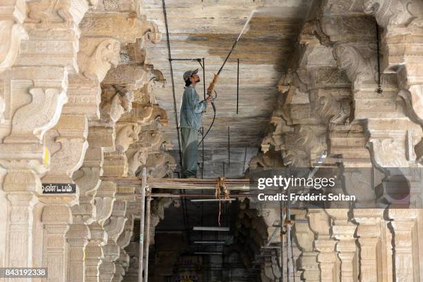 100 Ranganathaswamy Temple Srirangam Stock Photos, HighRes Pictures