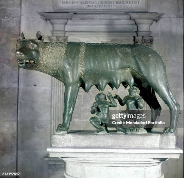 She Wolf Rome The Capitoline She Wolf Photos and Premium High Res Pictures - Getty Images