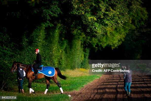 Japanese owned horse Satono Diamond ridden by French jockey Christophe Lemaire takes part in a training session at Chantilly on September 6 ahead of...