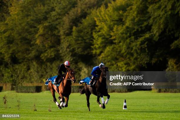 Japanese owned horse Satono Diamond ridden by French jockey Christophe Lemaire takes part in a training session at Chantilly on September 6 ahead of...