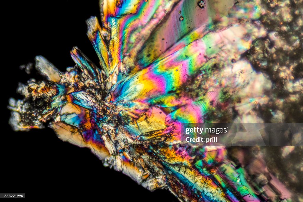 Microscopic Loperamide crystals