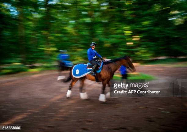 Japanese owned horse Satono Diamond takes part in a training session at Chantilly on September 6 ahead of the Prix de l'Arc de Triomphe. / AFP PHOTO...