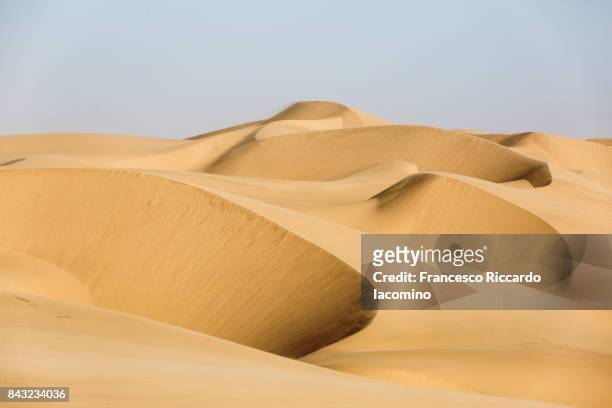 namib desert, goldan sand dunes, namibia, africa - 砂地 ストックフォトと画像