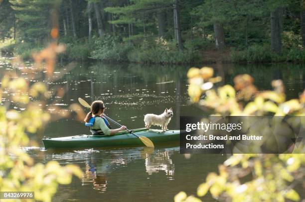 woman kayaking with her dog - new hampshire stock pictures, royalty-free photos & images