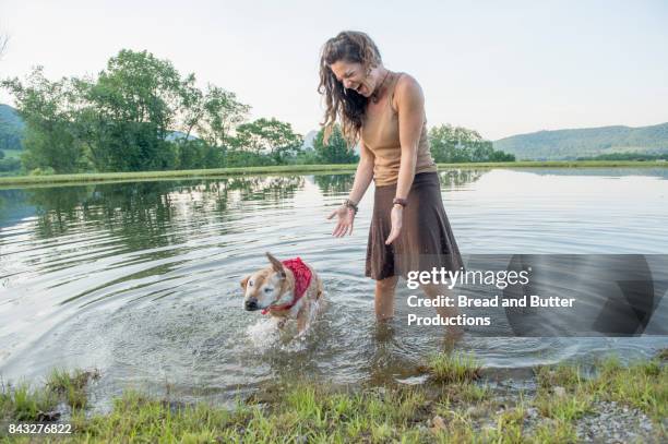 woman with her staffordshire bull terrier dog in pond outdoors - american staffordshire terrier stockfoto's en -beelden