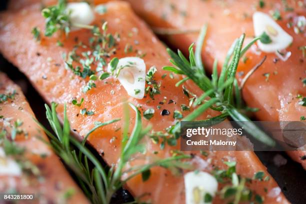 delicious salmon fillet in a pan with garlic and herbs - aliment préparé en filet photos et images de collection