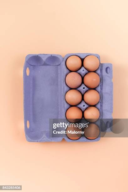 purple egg carton with eggs on pastel background. pastels - äggkartong bildbanksfoton och bilder