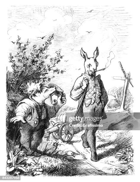gravur der hase und der igel 1873 - igel stock-grafiken, -clipart, -cartoons und -symbole