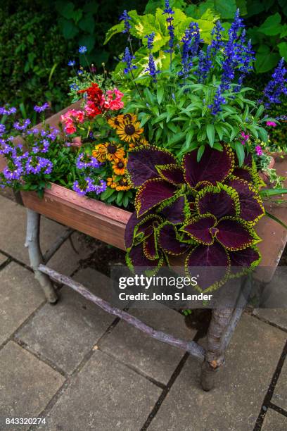 Potted plants at Philosophy Park which appears to be a rather large and pleasant expanse of greenery and hills north of Nakano. Local inhabitants use...