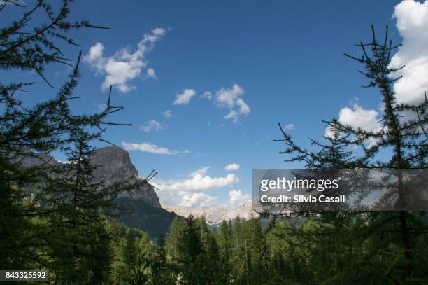 landscape with dolomites mountains on a summer clear afternoon - silvia casali stockfoto's en -beelden
