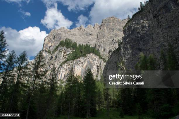 rocky dolomites mountains in summer - colfosco stock-fotos und bilder