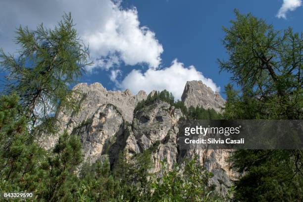 rocky dolomites mountains in summer - silvia casali stock-fotos und bilder