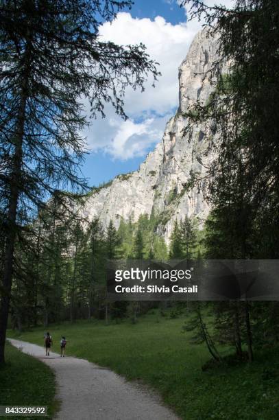 summer afternoon in the dolomites - silvia casali stock pictures, royalty-free photos & images