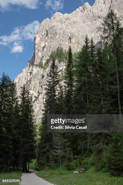 summer afternoon in the dolomites - silvia casali stock pictures, royalty-free photos & images