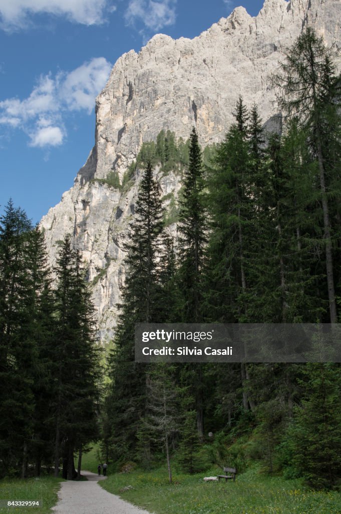 Summer afternoon in the Dolomites