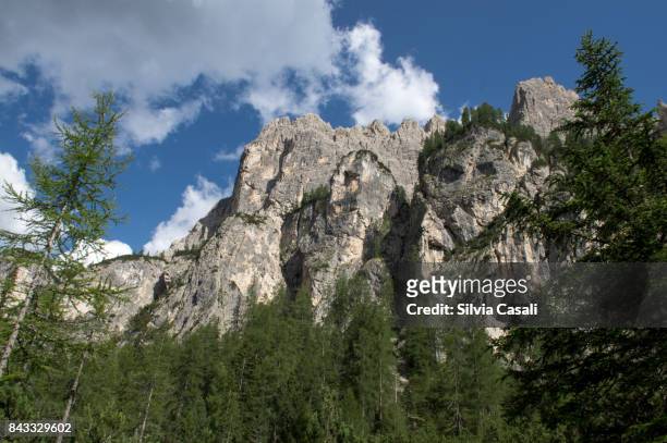 rocky dolomites mountains in summer - silvia casali fotografías e imágenes de stock