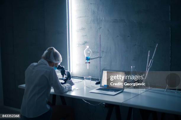 Working On Computer Laboratory Photos and Premium High Res Pictures ...
