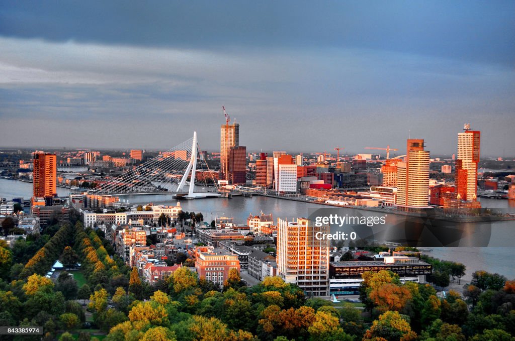 Rotterdam skyline