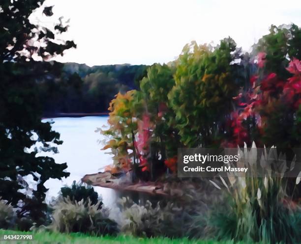 lake wylie painting