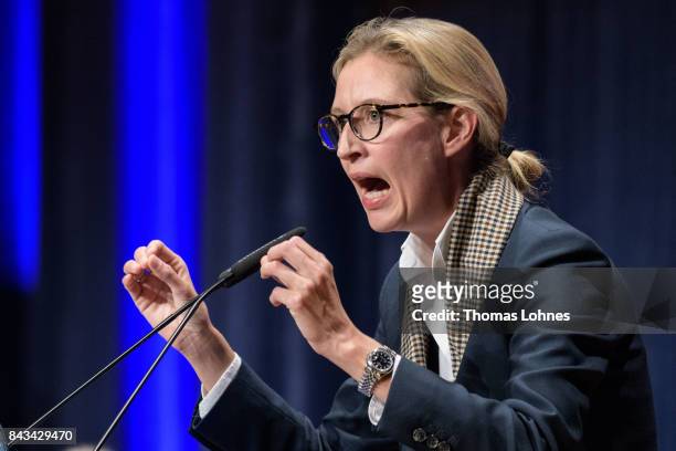 Co-lead candidate of the right-wing Alternative for Germany political party Alice Weidel speaks during an AfD election campaign event on September 6,...