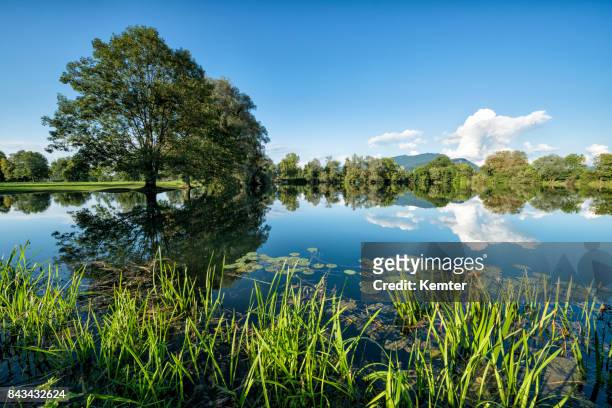 mooi landschap met idyllische lake en reflecties - vorarlberg stockfoto's en -beelden