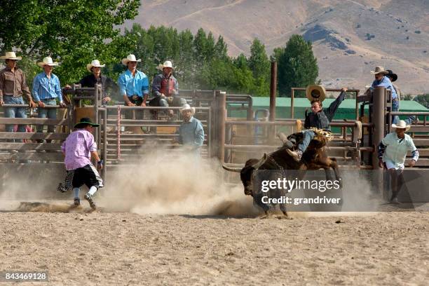 Buckle Up Rodeo Cowboy Being Bucked Off Horse At Rodeo Photos and Premium High Res ...