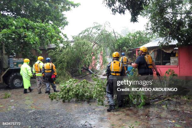 Search Rescue Hurricane 372 Irma Rescue Stock Photos, High-Res Pictures, and Images - Getty Images