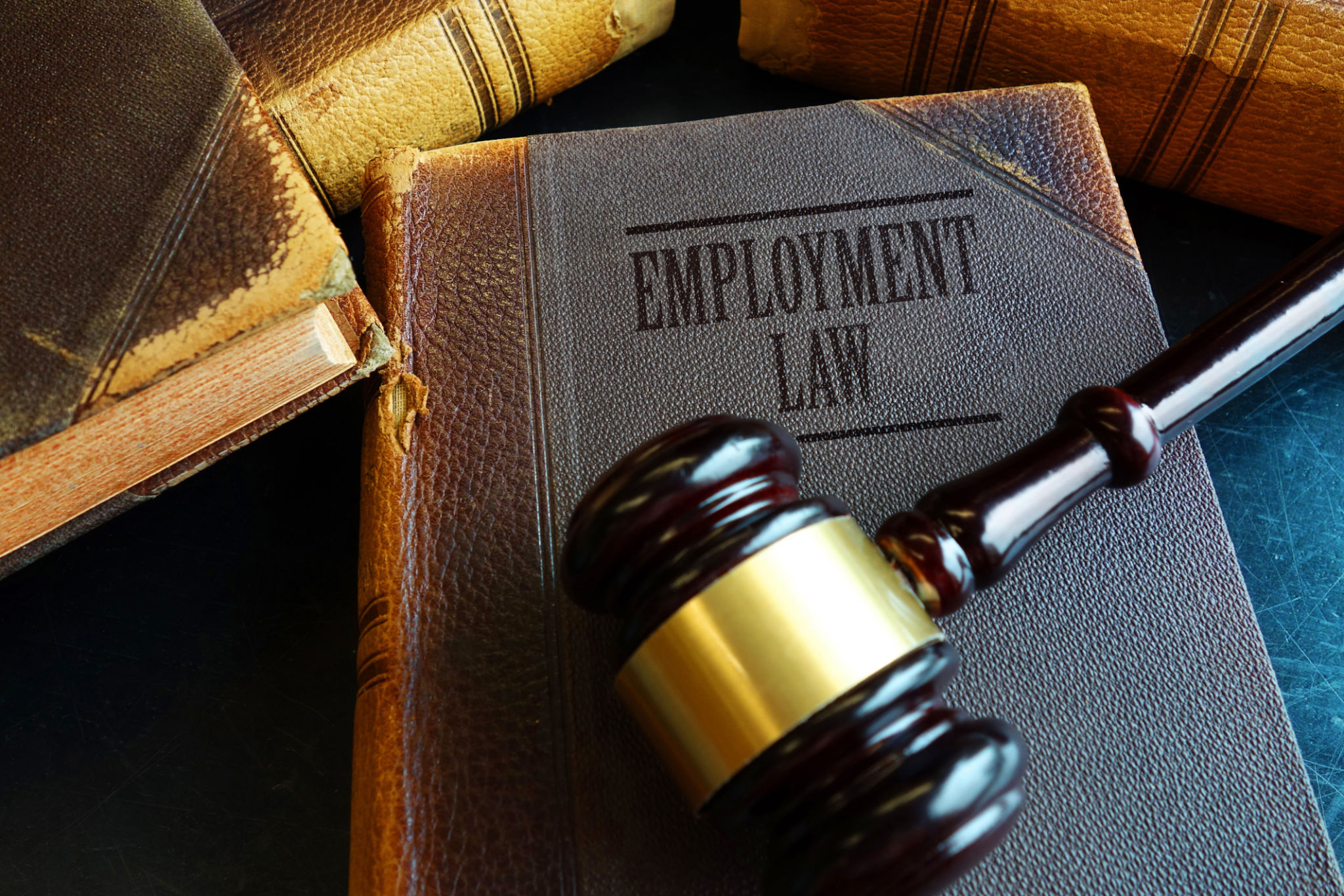 Employment Law book Employment Law book