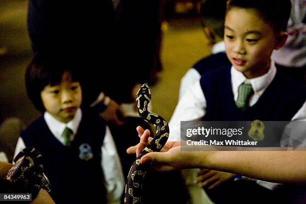 Kids watch a snake from the National Aquarium at the Children's Inaugural Ball on January 18, 2009 in Washington, DC. Various inaugural balls are...