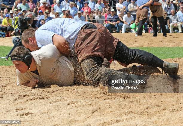 let me go - schwingen stockfoto's en -beelden