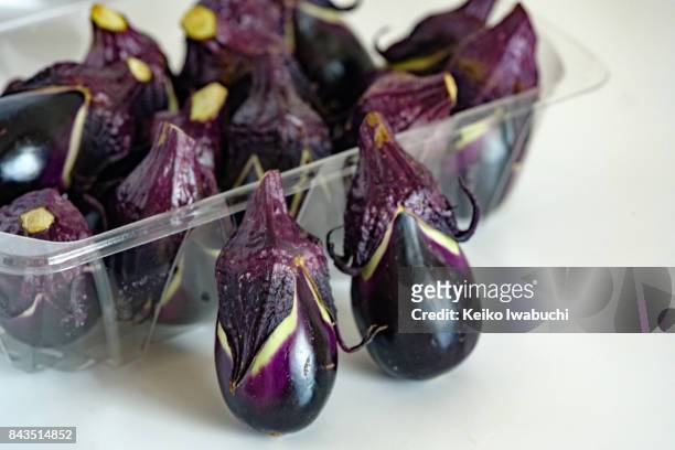 eggplant called ""konasu"" in japanese. - präfektur kochi stock-fotos und bilder