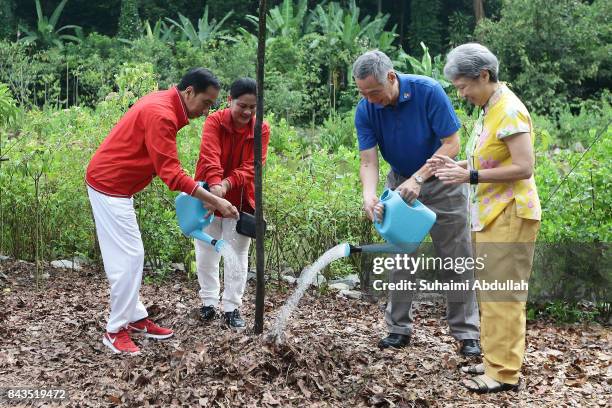 Indonesian President Joko Widodo and wife, Iriana and Singapore Prime Minister, Lee Hsien Loong and wife, Ho Ching attend the tree planting ceremony...