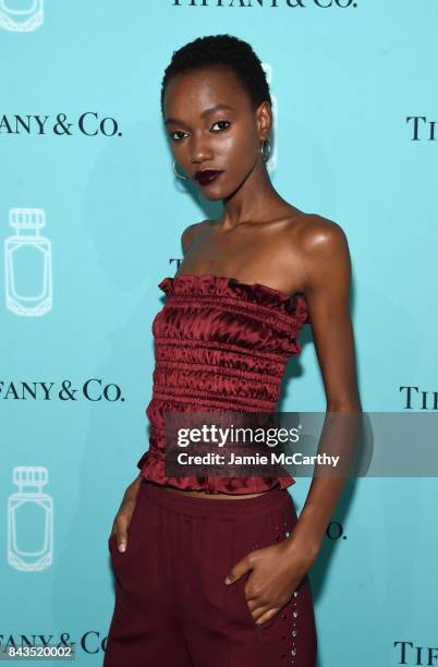 Herieth Paul attends the Tiffany & Co. Fragrance launch event on September 6, 2017 in New York City.