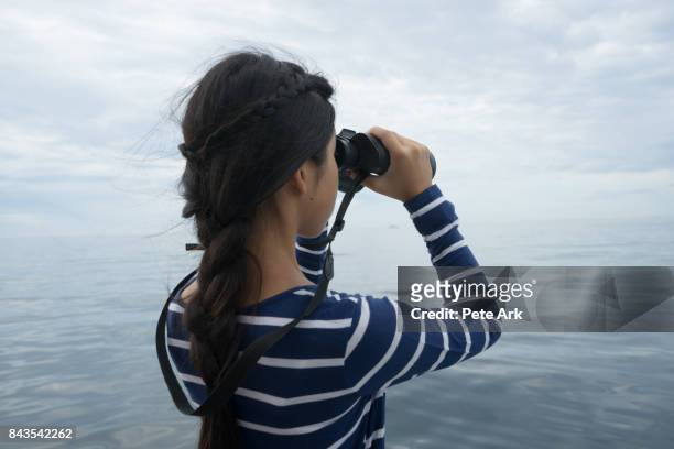on the lookout! - whale watching stock pictures, royalty-free photos & images