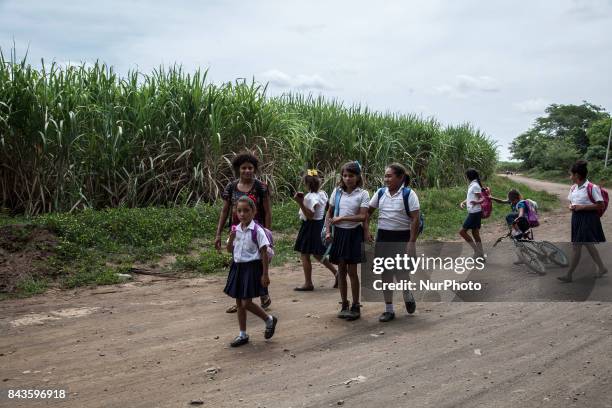 In the Chichigalpa community, an epidemic of Chronic Kidney Disease of unknown origin is now living in the Nicaraguan Pacific Coast. This disease...