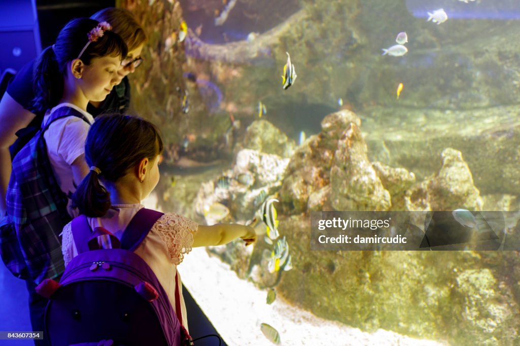 Touristen erkunden der Unterwasserwelt im aquarium