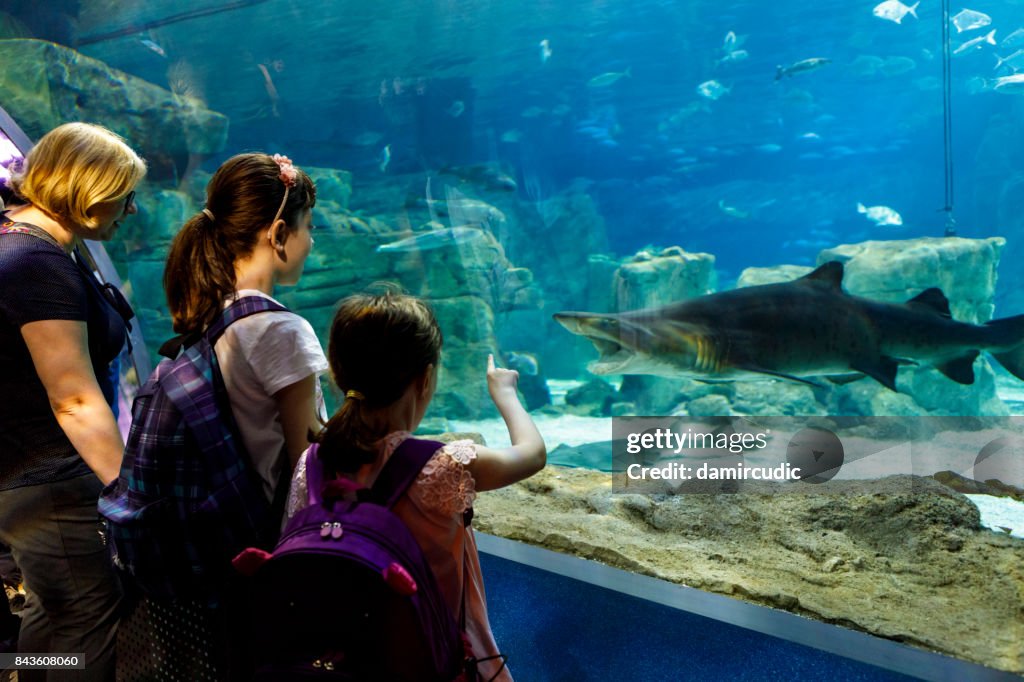 Tourists exploring sea life in aquarium