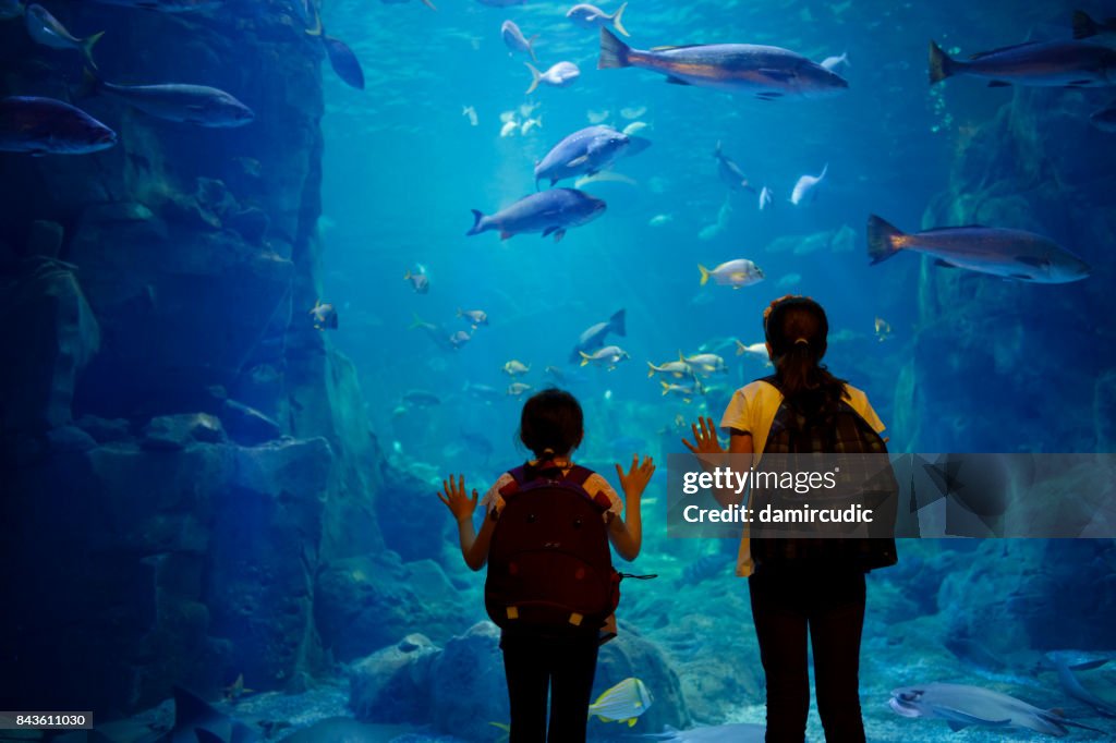Crianças a olhar para o peixe em um aquário grande