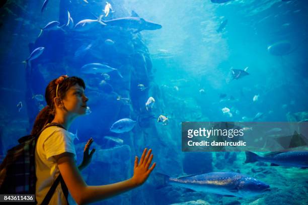 bambina carina che guarda la vita sottomarina in un grande acquario - marine aquarium foto e immagini stock
